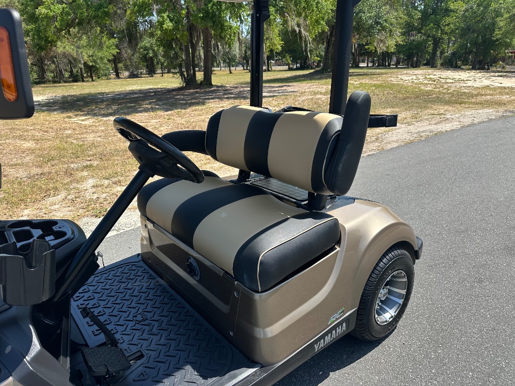 2021 YAMAHA DR2E21 - $5,988