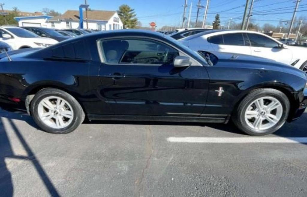 2014 Ford Mustang V6 photo
