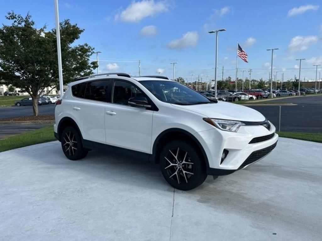 2018 Toyota RAV4 SE photo