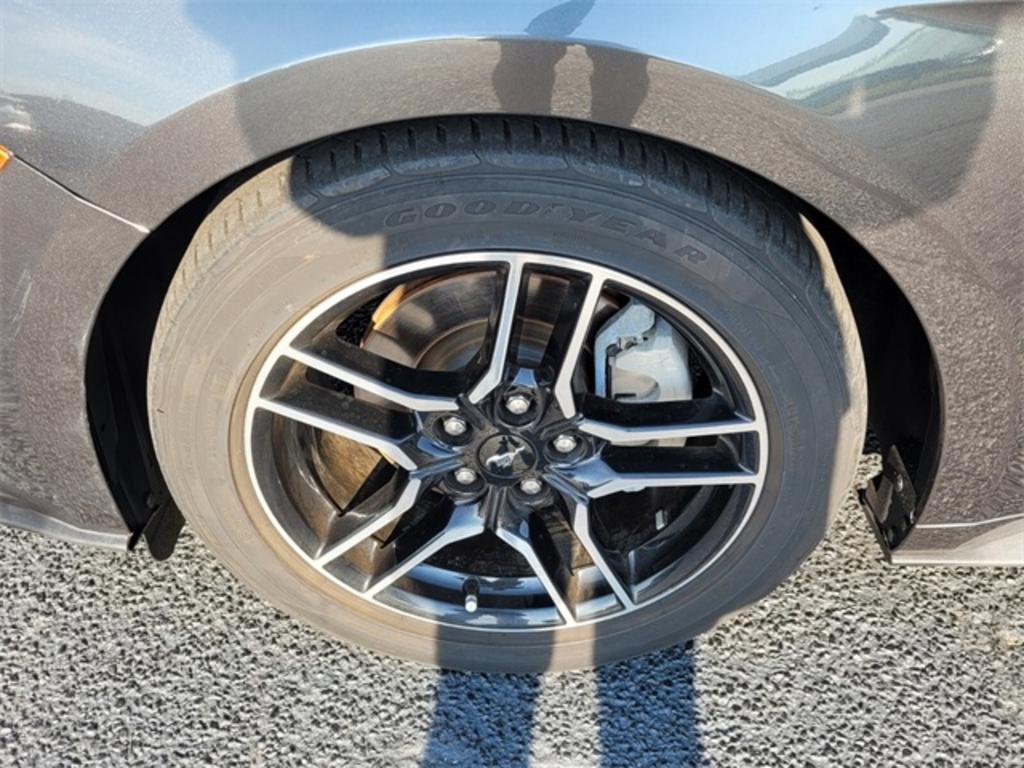 2018 Ford Mustang EcoBoost photo