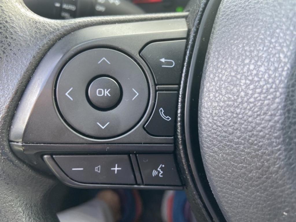 2019 Toyota RAV4 XLE photo