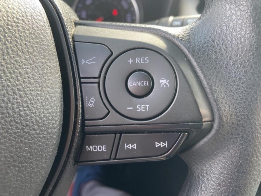 2019 Toyota RAV4 XLE photo