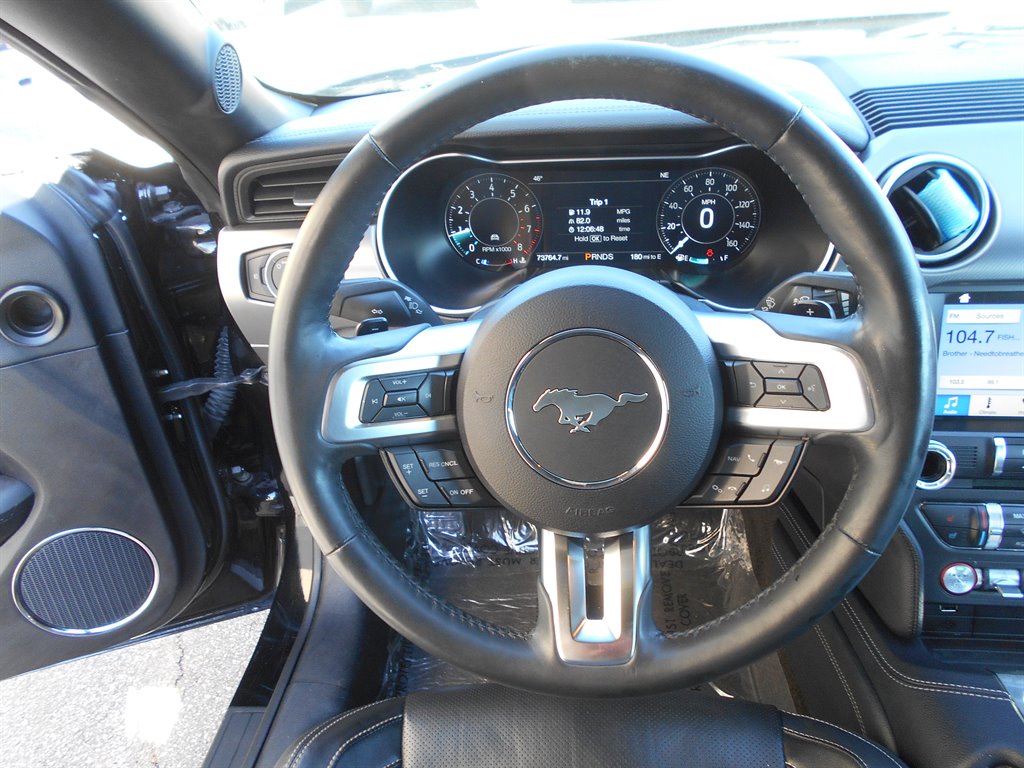 2018 Ford Mustang ECO Premium photo