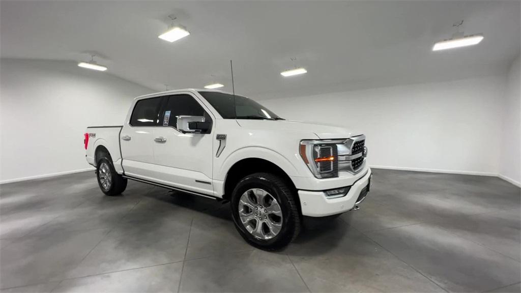 2021 Ford F-150 Platinum photo