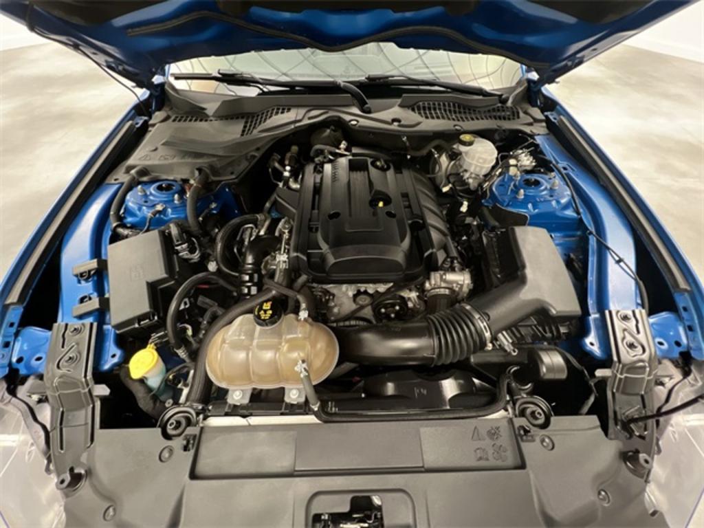 2019 Ford Mustang EcoBoost Premium photo