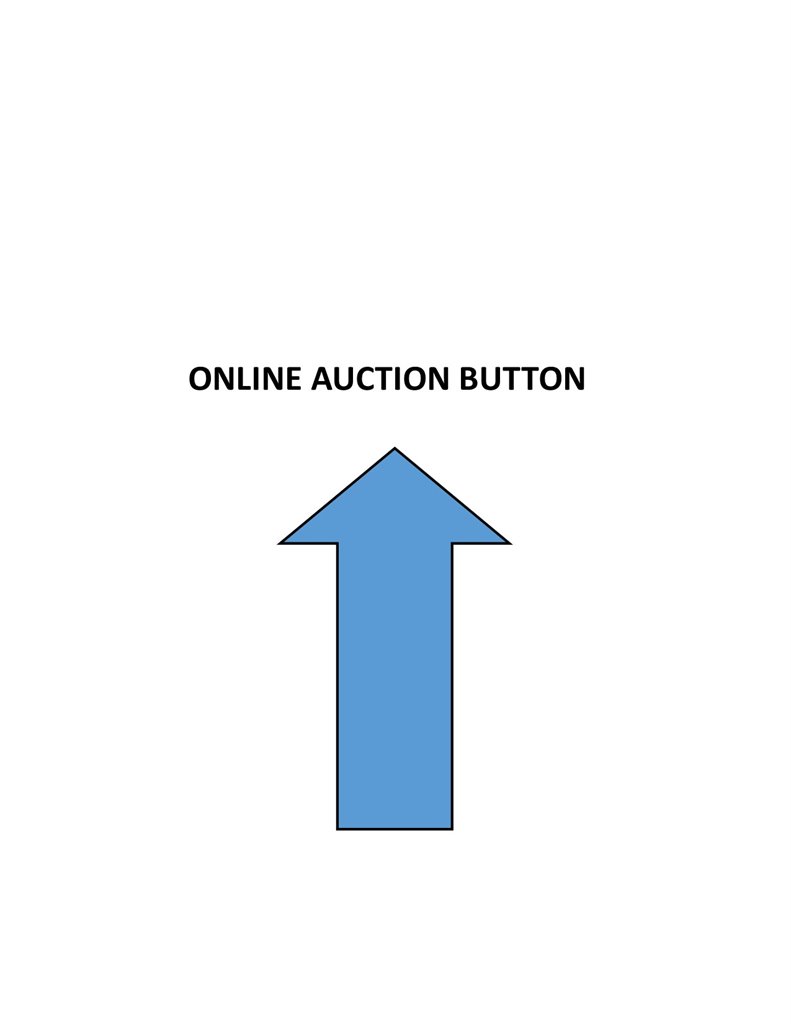 2024 Online Auction  WWW.Flauctionnetwork