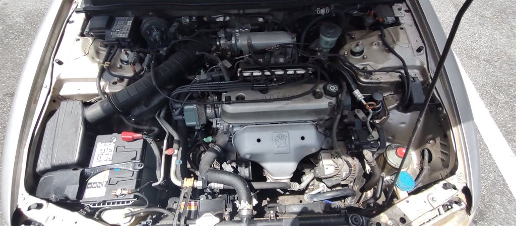1997 Honda Accord - $4,600
