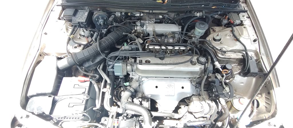 1997 Honda Accord - $4,600