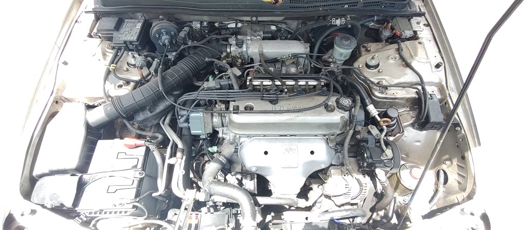 1997 Honda Accord - $4,600