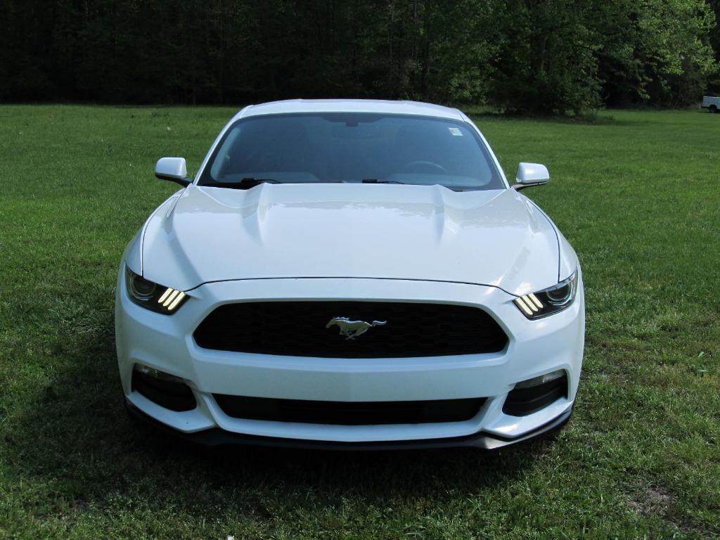 2017 Ford Mustang photo
