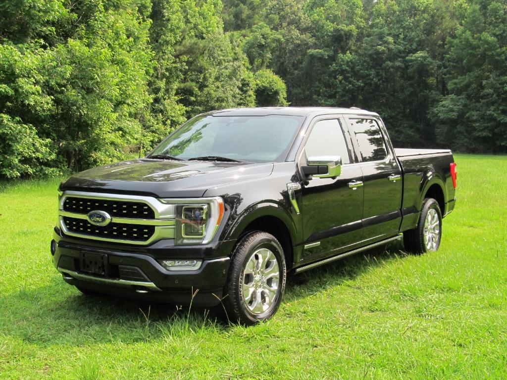 2021 Ford F150 Platinum photo