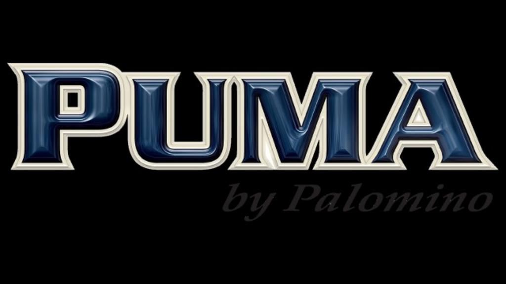 2027 PALOMINO PUMA 337BH - $54,764