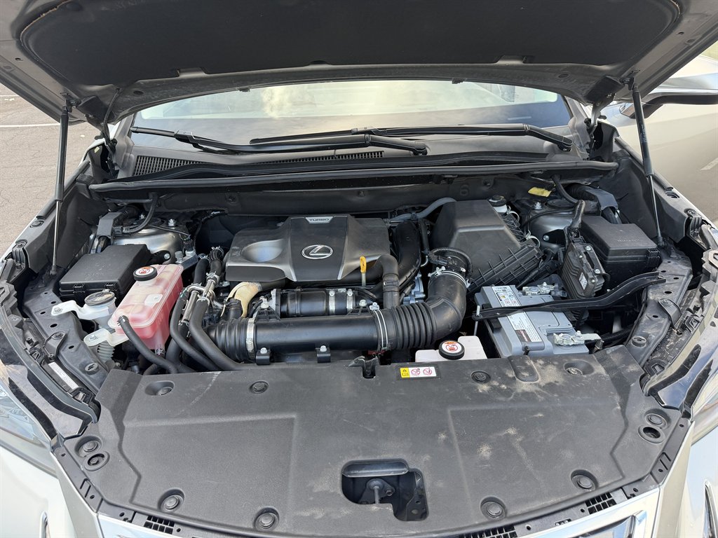 2019 Lexus NX - $19,490