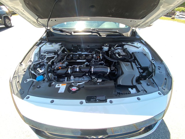 2019 Honda Accord Sport photo