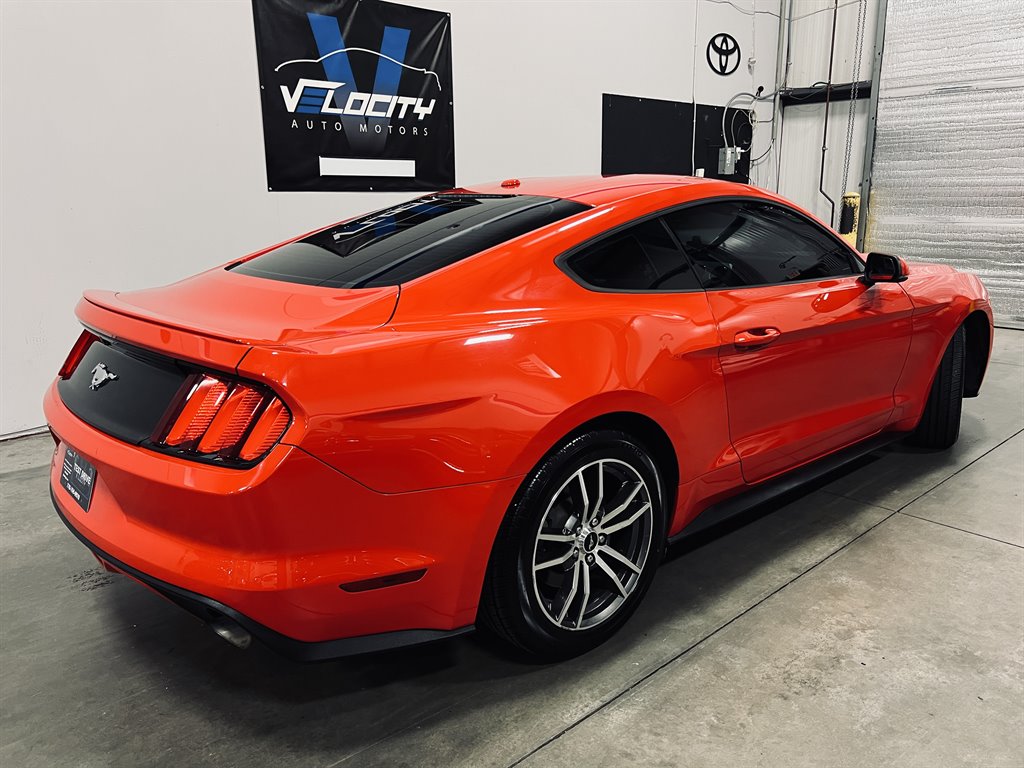 2016 Ford Mustang Eco photo