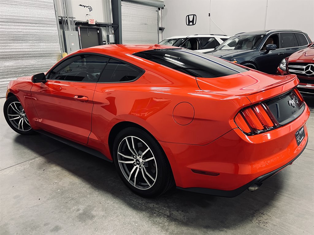 2016 Ford Mustang Eco photo