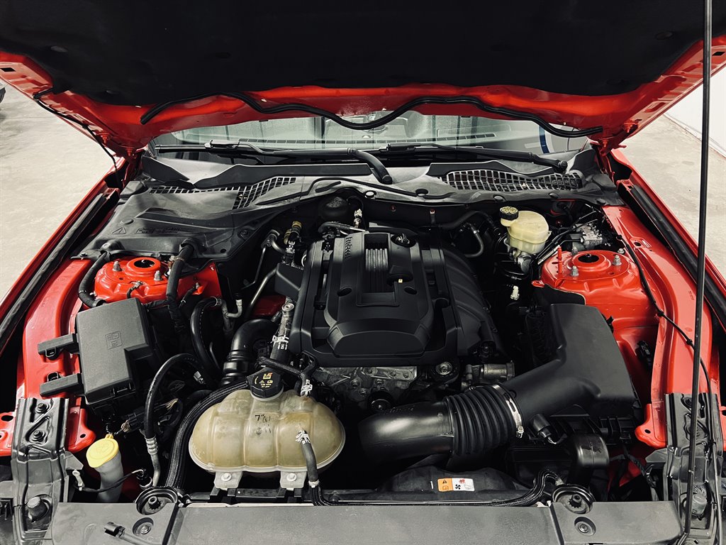 2016 Ford Mustang Eco photo