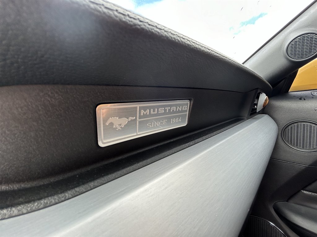 2015 Ford Mustang GT photo