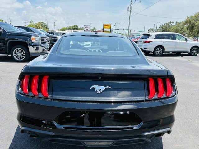 2019 Ford Mustang - $14,900