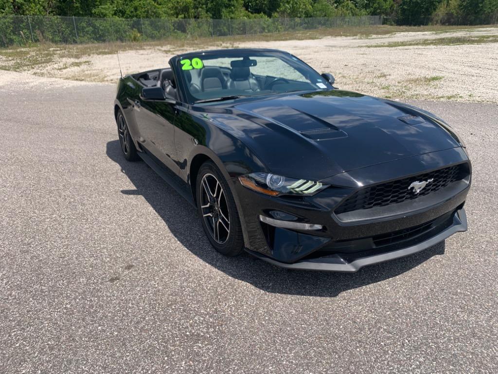 2020 Ford Mustang Eco photo