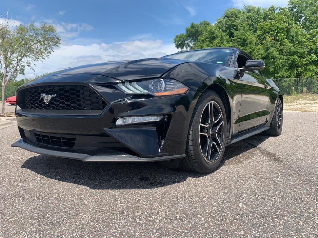 2020 Ford Mustang Eco photo
