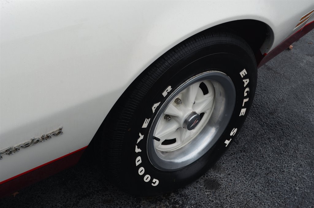 1981 Pontiac Firebird Formula photo