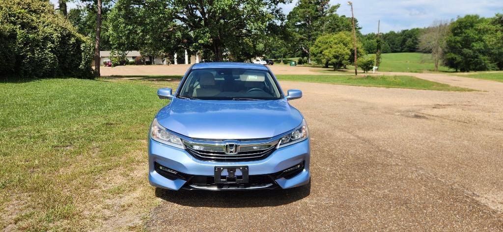 2017 Honda Accord photo