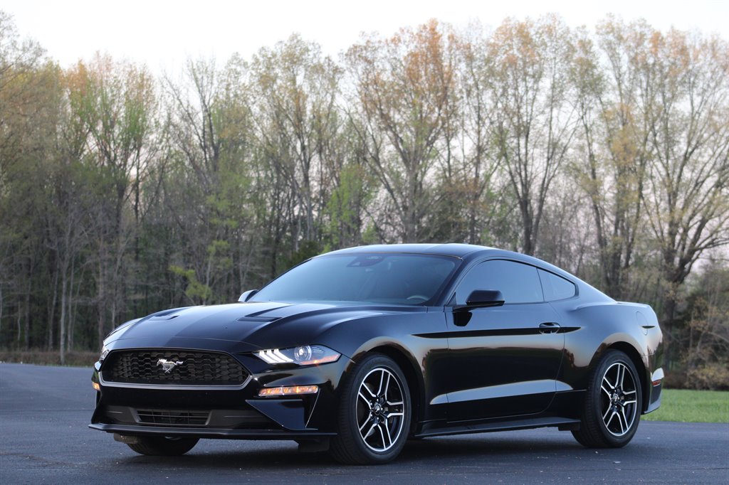 2022 Ford Mustang Eco photo