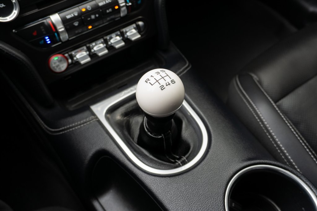 2019 Ford Mustang GT Premium photo