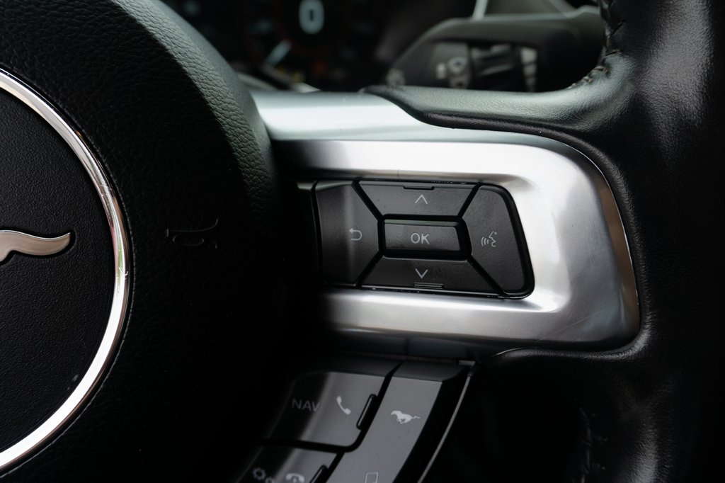 2019 Ford Mustang GT Premium photo