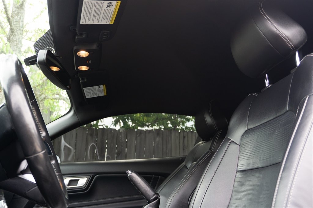 2019 Ford Mustang GT Premium photo