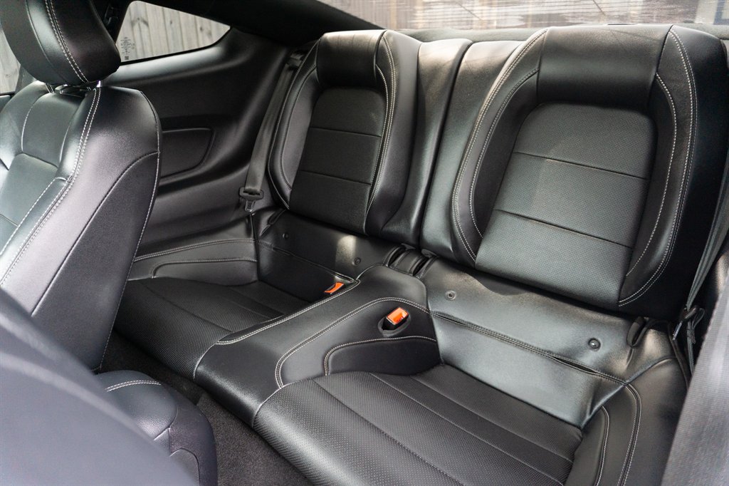 2019 Ford Mustang GT Premium photo
