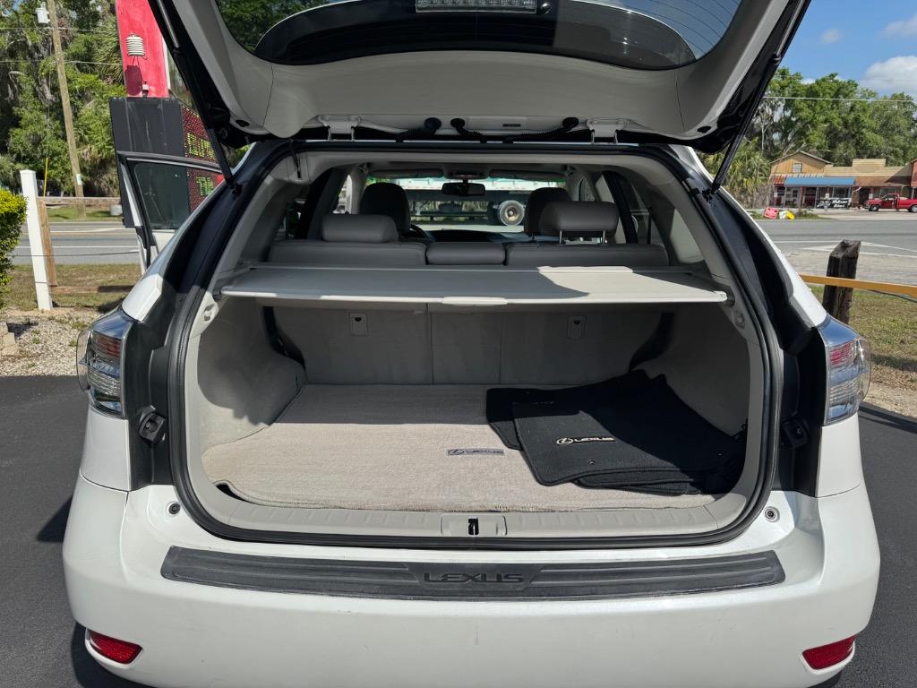 2010 Lexus RX 350 photo