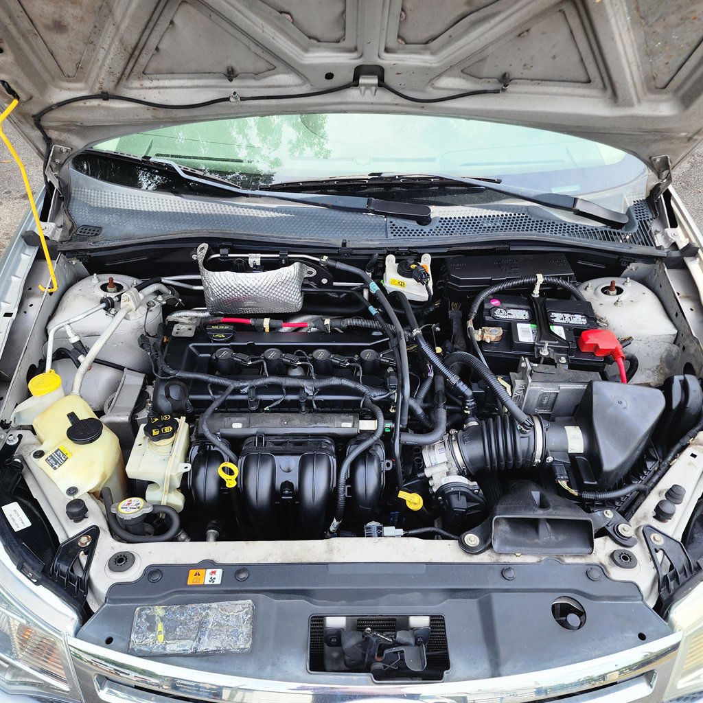 2011 Ford Focus SE photo