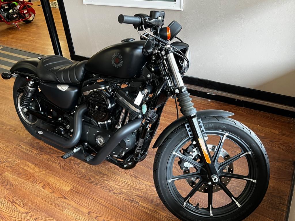 The 2019 Harley-Davidson 883 Iron  photos