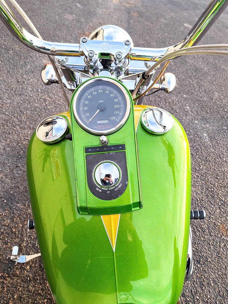 2001 Harley-Davidson FXSTB Night Train - $5,999