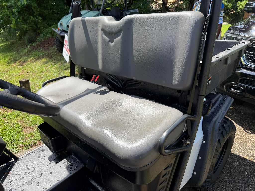 2022  AMERICAN  AMERICAN LANDMASTER - $5,195