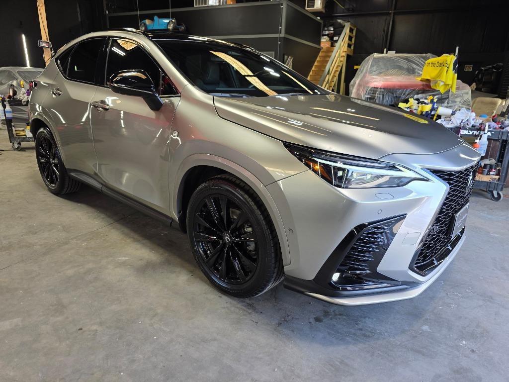 2025 Lexus NX
