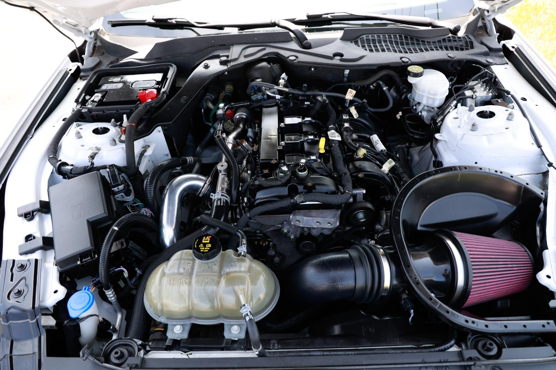 2021 Ford Mustang Eco photo