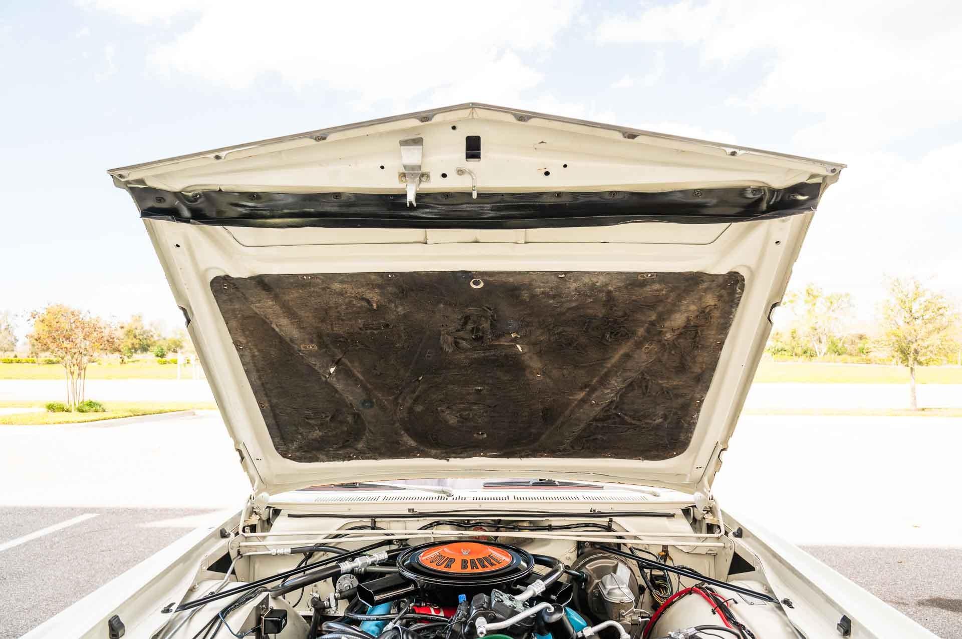 1967 Ford Mustang SVT Cobra photo
