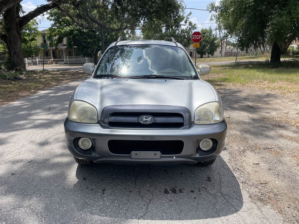 2006 Hyundai Santa Fe GLS photo