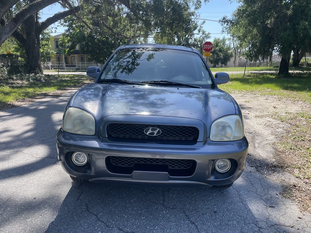 2003 Hyundai Santa Fe GLS photo