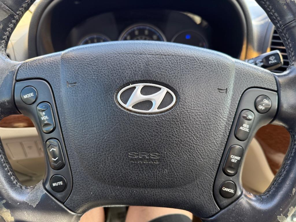 2007 Hyundai Santa Fe SE photo