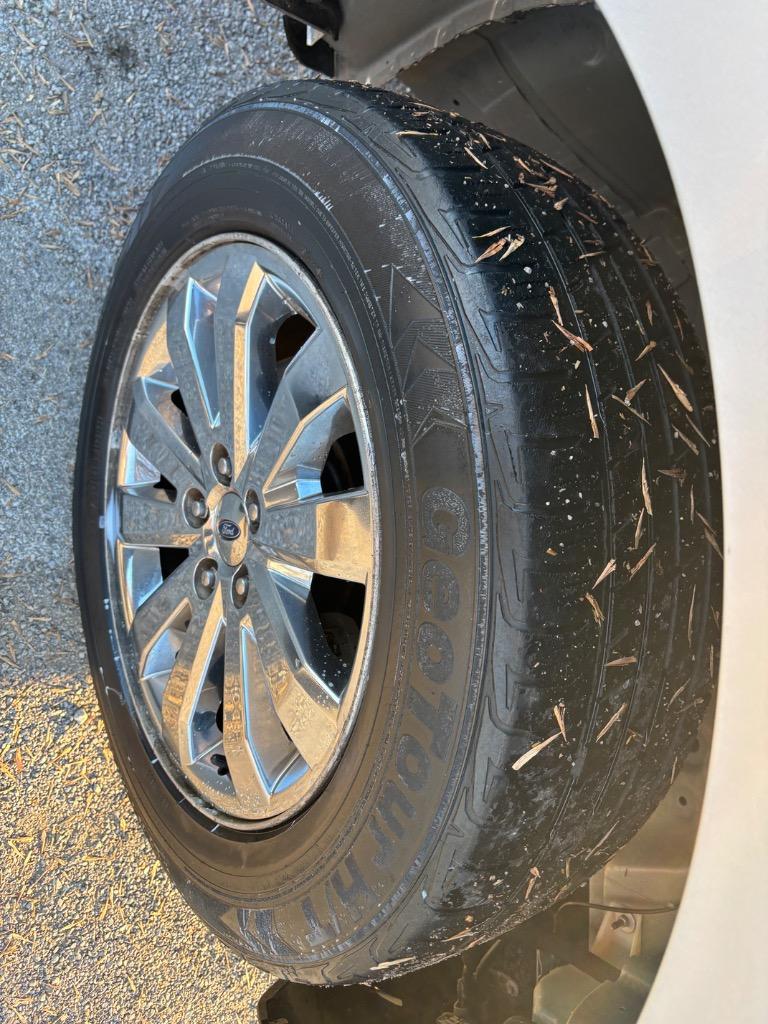 2009 Ford Edge Limited photo