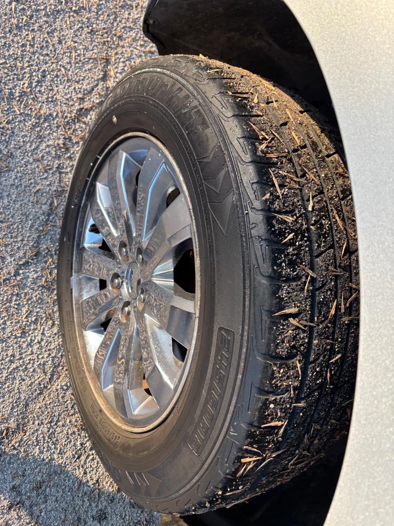 2009 Ford Edge Limited photo