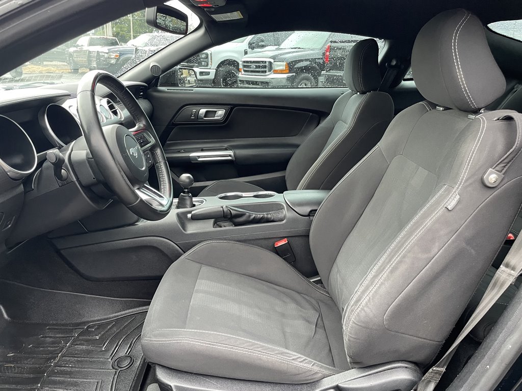 2019 Ford Mustang - $29,999
