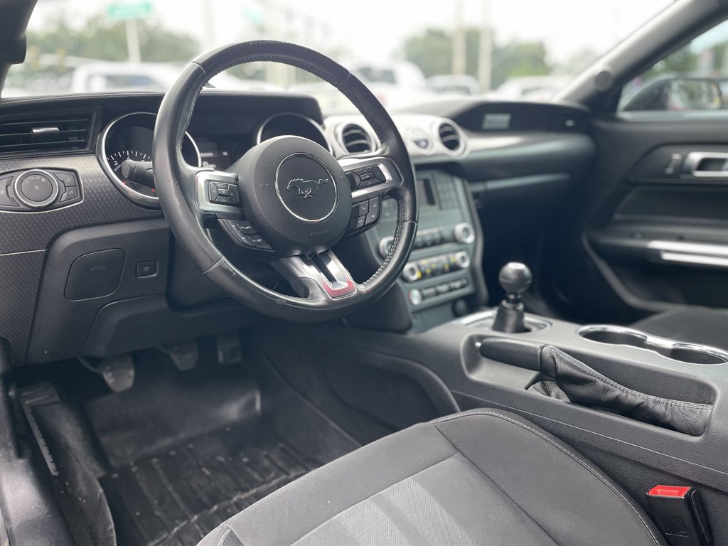 2019 Ford Mustang - $29,999