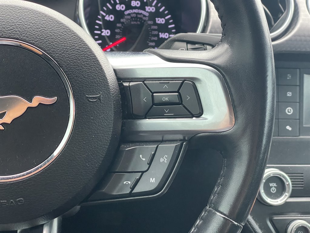 2019 Ford Mustang - $29,999