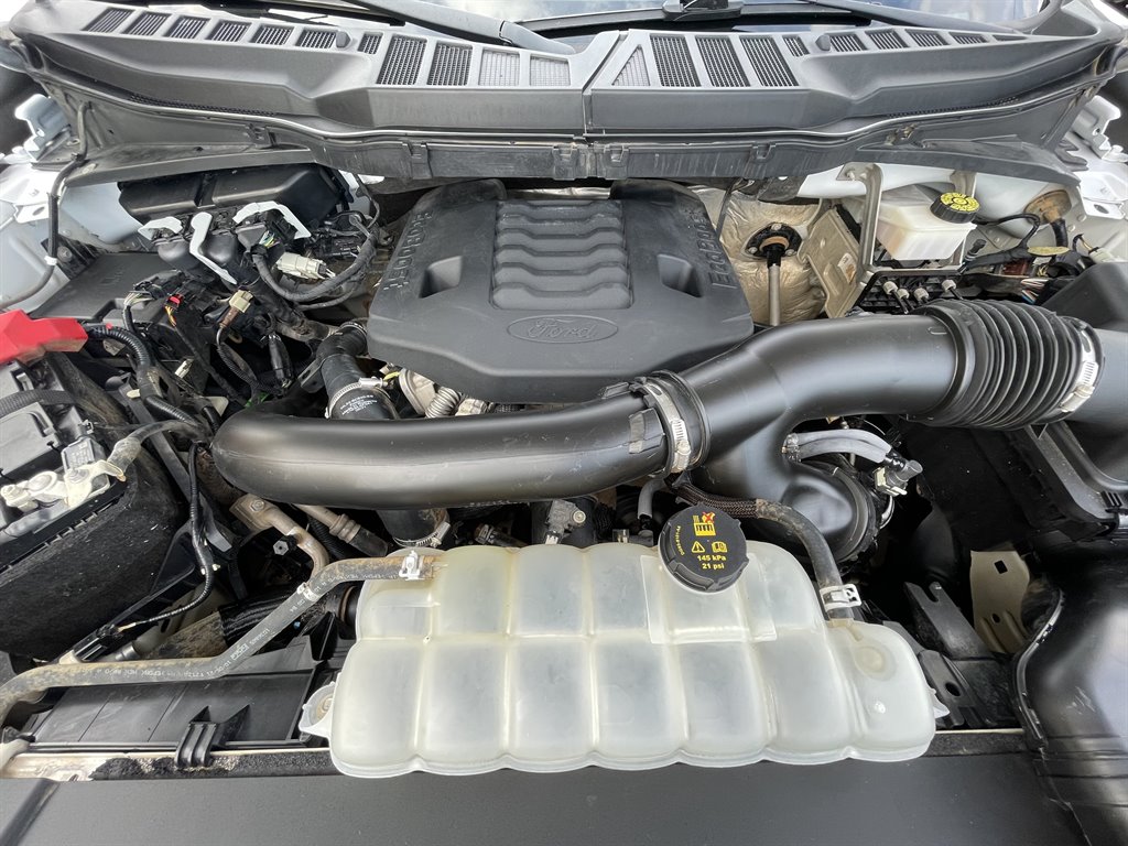 2021 Ford F150 XL photo
