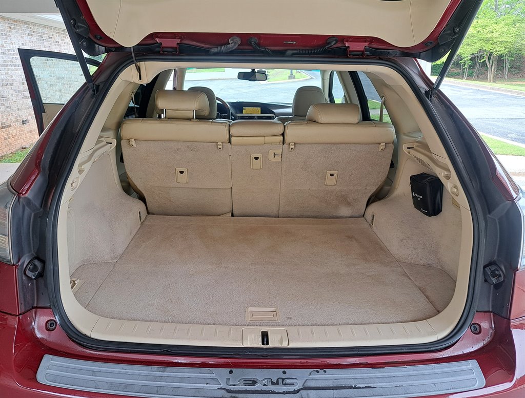 2010 Lexus RX 350 photo
